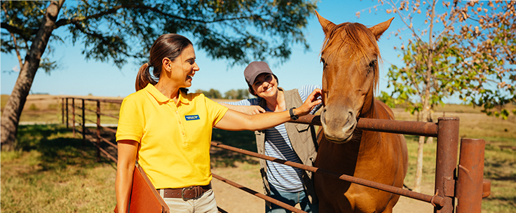 woman insurance agent helping a equine owner