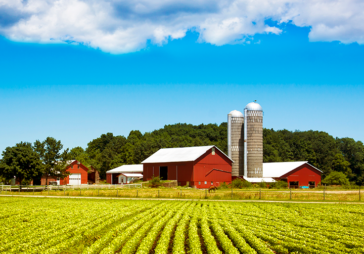 large open field overlooking a farm estate